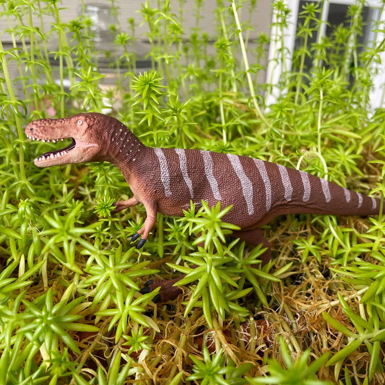 Dino Dana Nanotyrannus Toy Safari Ltd Lil Tulips