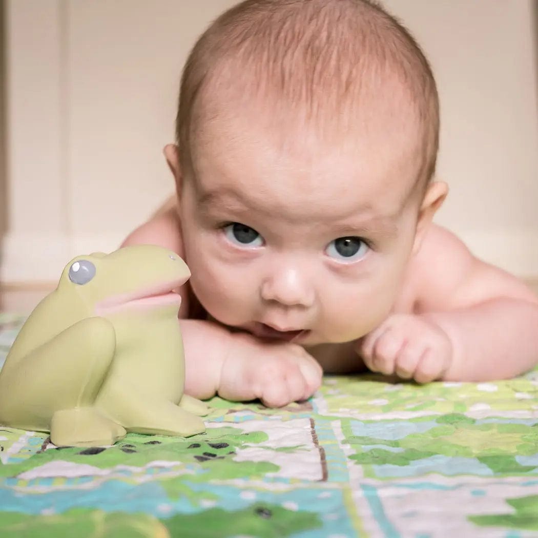 Gemba the Frog Natural Rubber Teether, Rattle & Bath Toy Tikiri Toys Lil Tulips