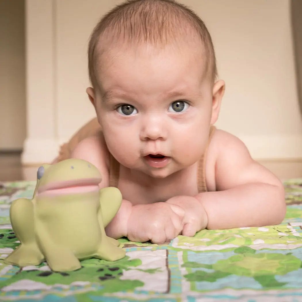 Gemba the Frog Natural Rubber Teether, Rattle & Bath Toy Tikiri Toys Lil Tulips