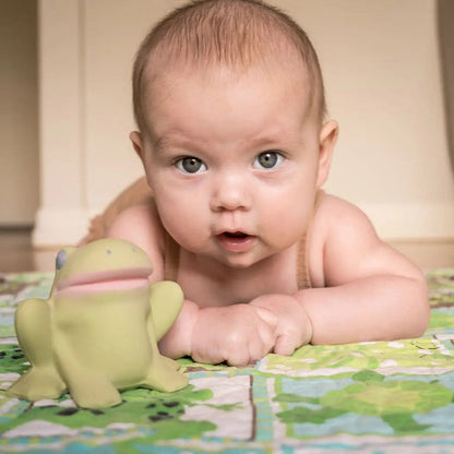 Gemba the Frog Natural Rubber Teether, Rattle & Bath Toy Tikiri Toys Lil Tulips