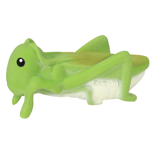 Grasshopper Natural Rubber Teether, Rattle & Bath Toy Tikiri Toys Lil Tulips