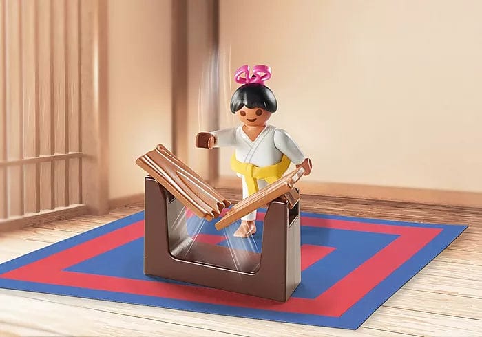 Karate Class Gift Set 71186 Playmobil Toys Lil Tulips