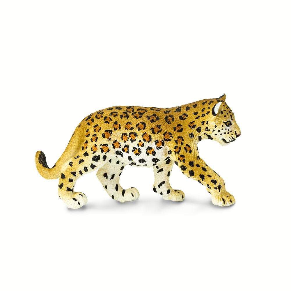 Leopard Cub Toy Safari Ltd Lil Tulips