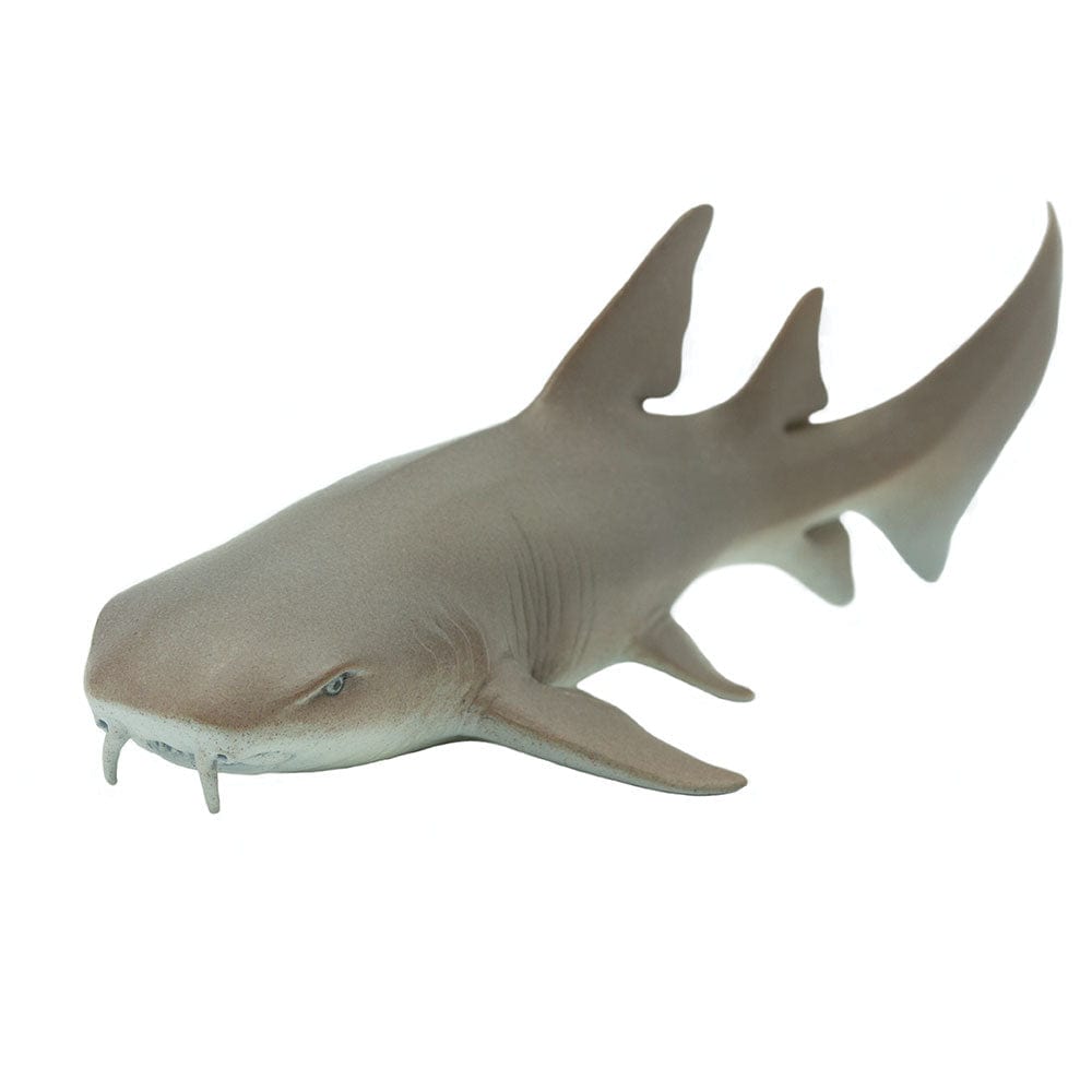 Nurse Shark Toy Safari Ltd Lil Tulips