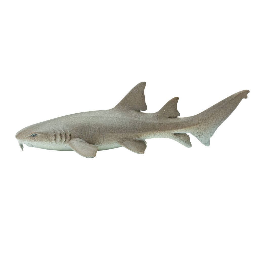 Nurse Shark Toy Safari Ltd Lil Tulips