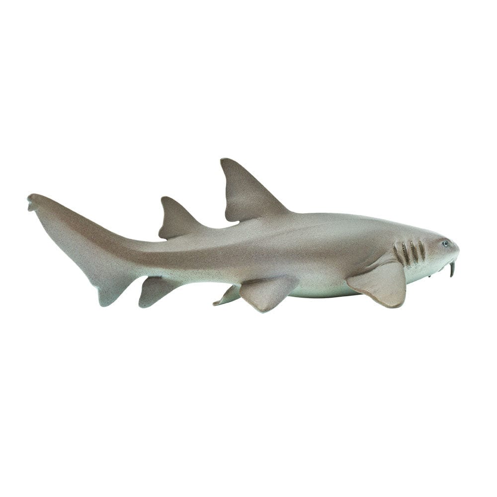 Nurse Shark Toy Safari Ltd Lil Tulips