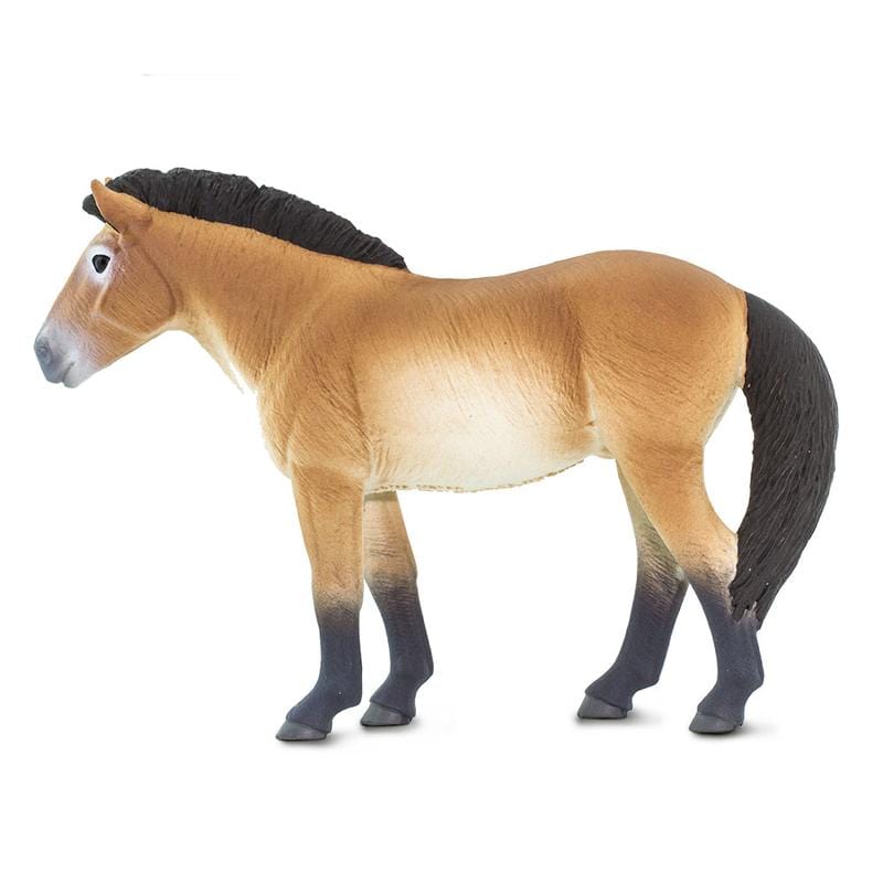 Przewalski's Horse Toy Safari Ltd Lil Tulips