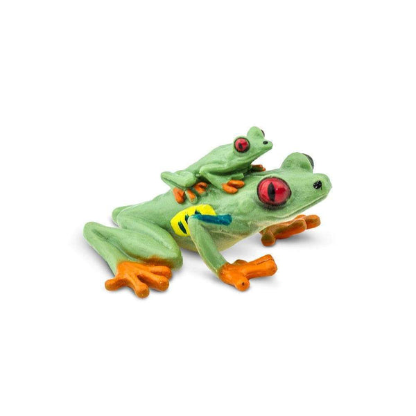 hiding little frogs｜TikTok Search