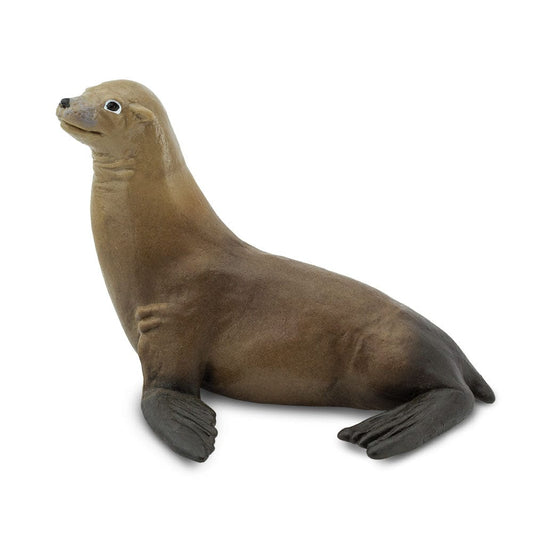 Sea Lion Toy Safari Ltd Lil Tulips