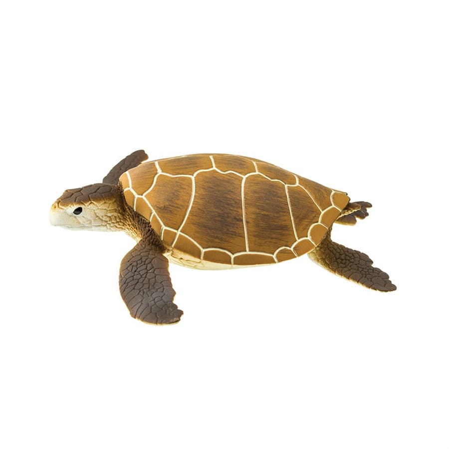 Sea Turtle Toy Safari Ltd Lil Tulips