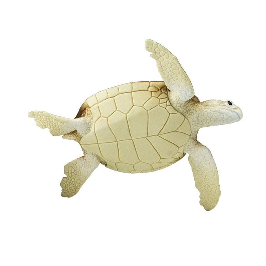 Sea Turtle Toy Safari Ltd Lil Tulips