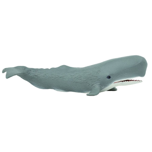 Sperm Whale Toy Safari Ltd Lil Tulips