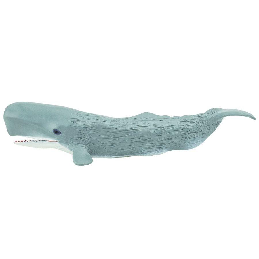 Sperm Whale Toy Safari Ltd Lil Tulips