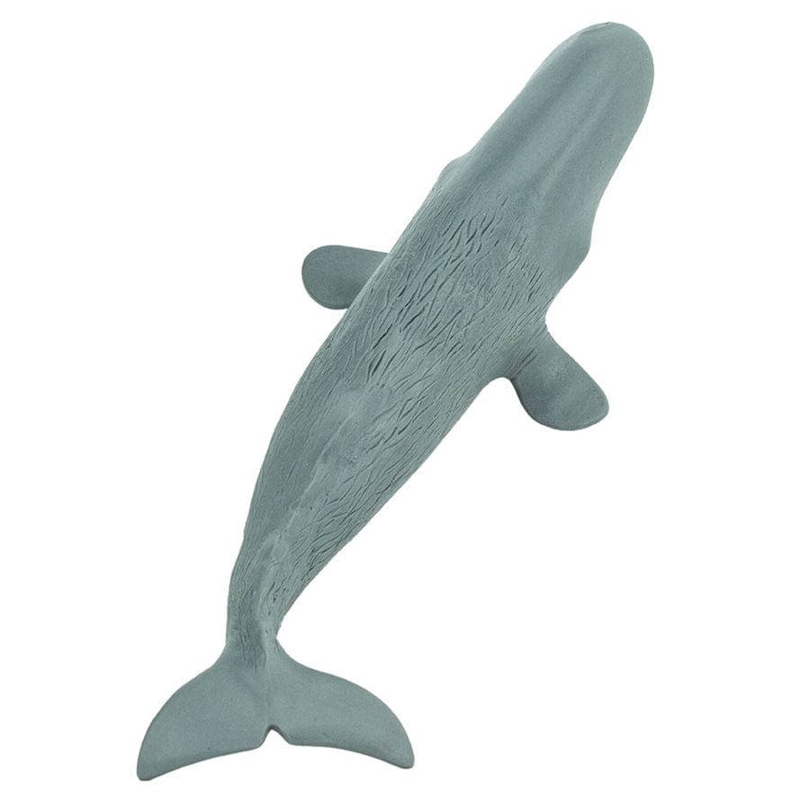 Sperm Whale Toy Safari Ltd Lil Tulips