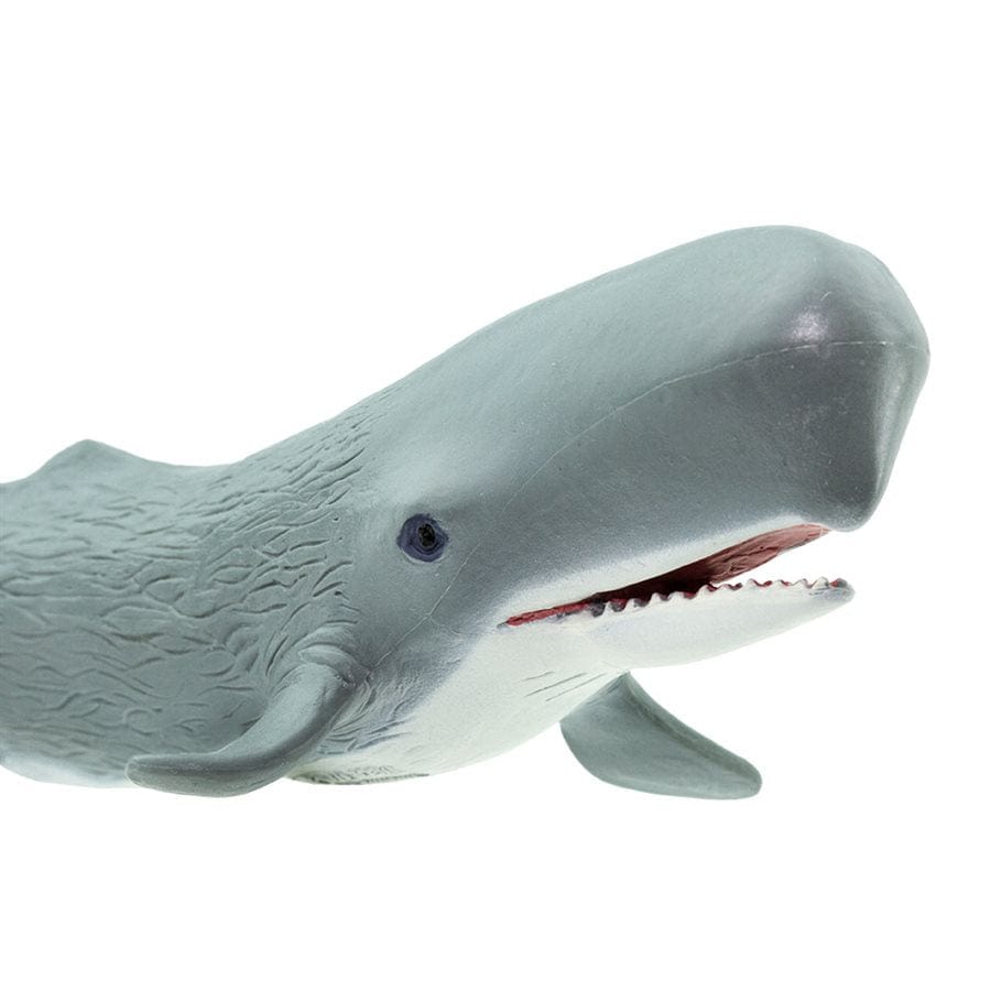 Sperm Whale Toy Safari Ltd Lil Tulips