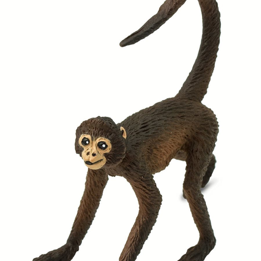 Spider Monkey Toy Safari Ltd Lil Tulips