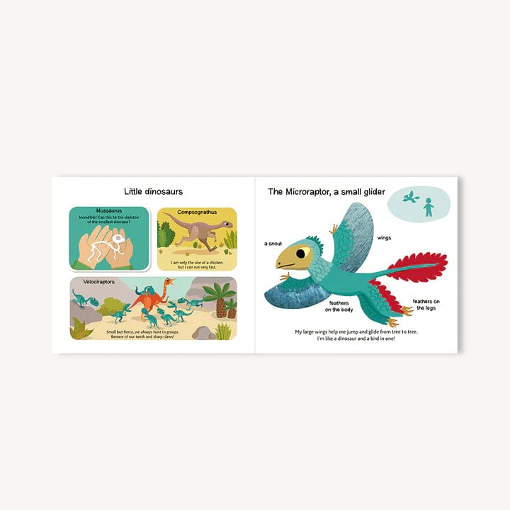 Touch and Explore: Dinosaurs Chronicle Books Lil Tulips