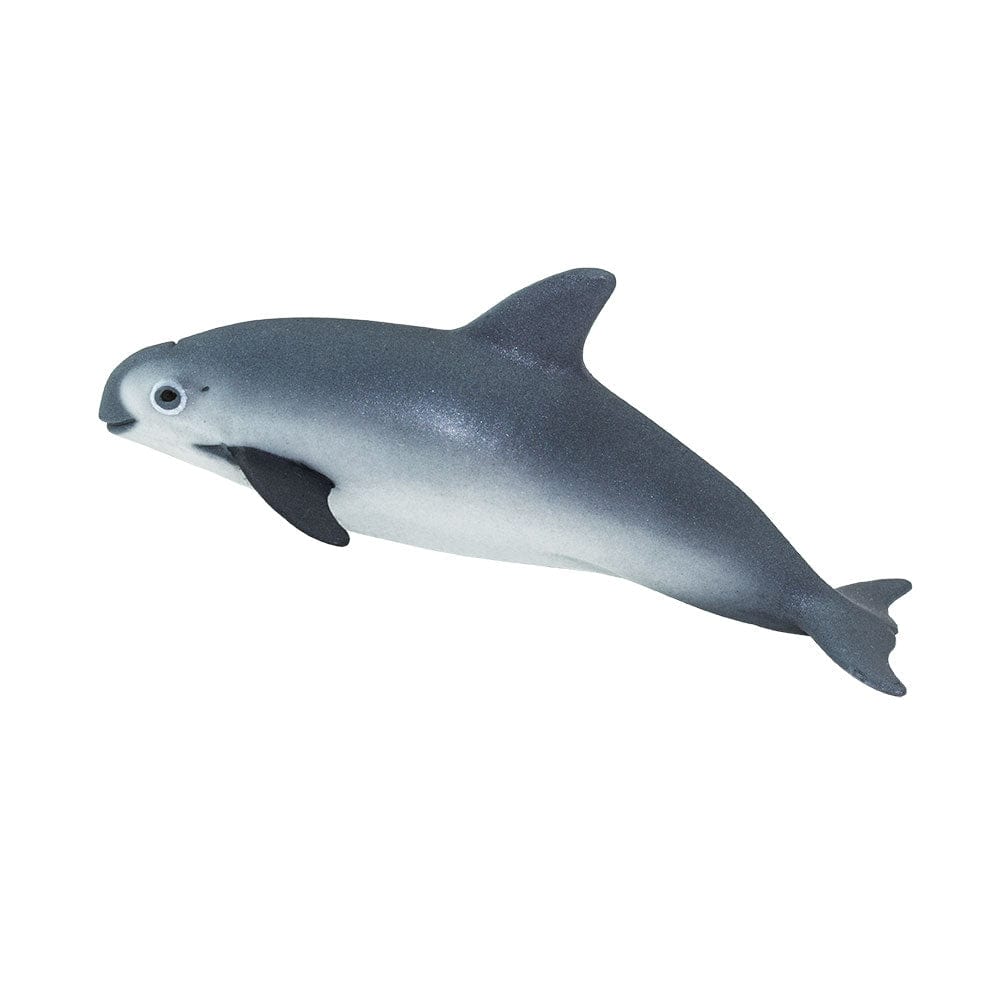 Vaquita Porpoise Toy Safari Ltd Lil Tulips