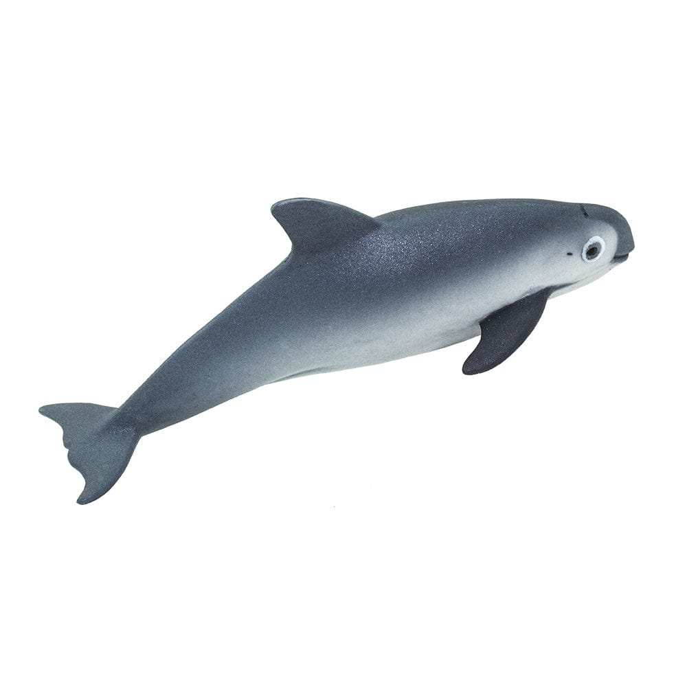 Vaquita Porpoise Toy Safari Ltd Lil Tulips