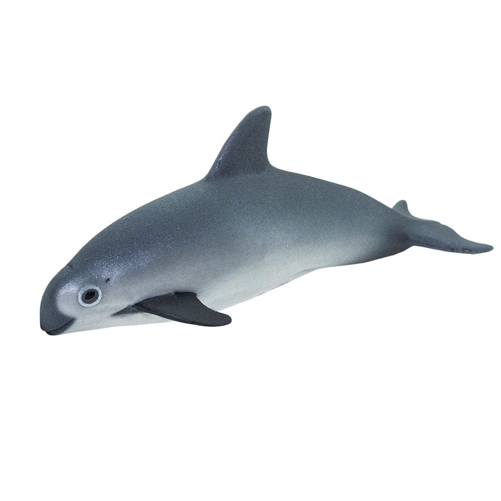 Vaquita Porpoise Toy Safari Ltd Lil Tulips