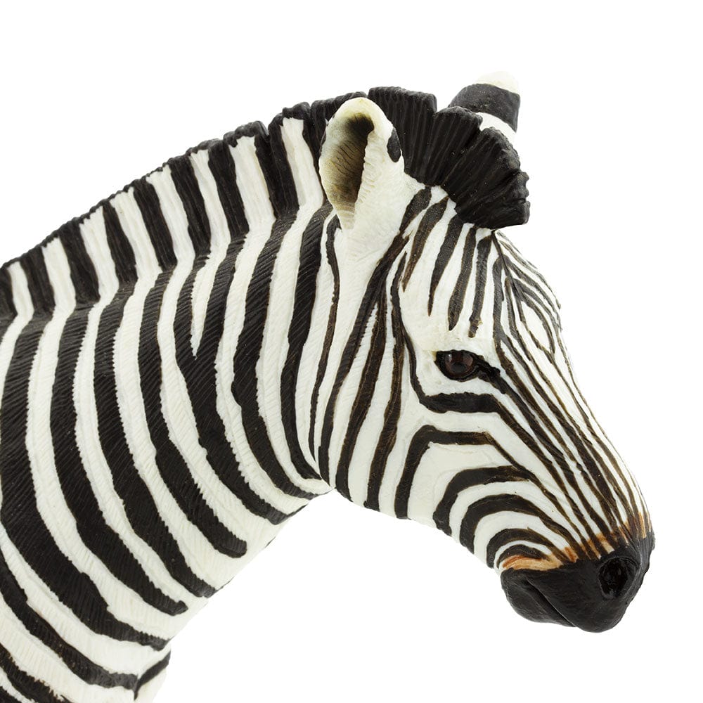 Zebra Toy Safari Ltd Lil Tulips